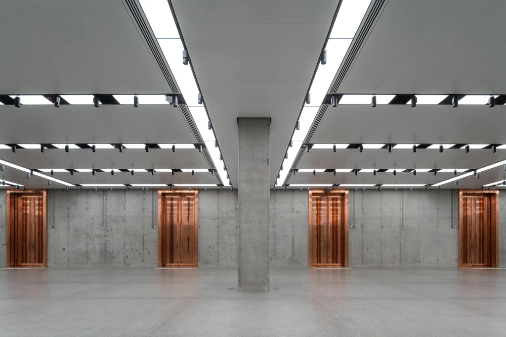 коллекция зиларт фото